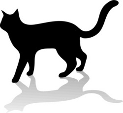 cat icon (no photos)