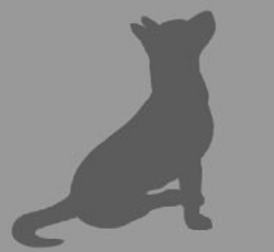 dog icon (no photos)