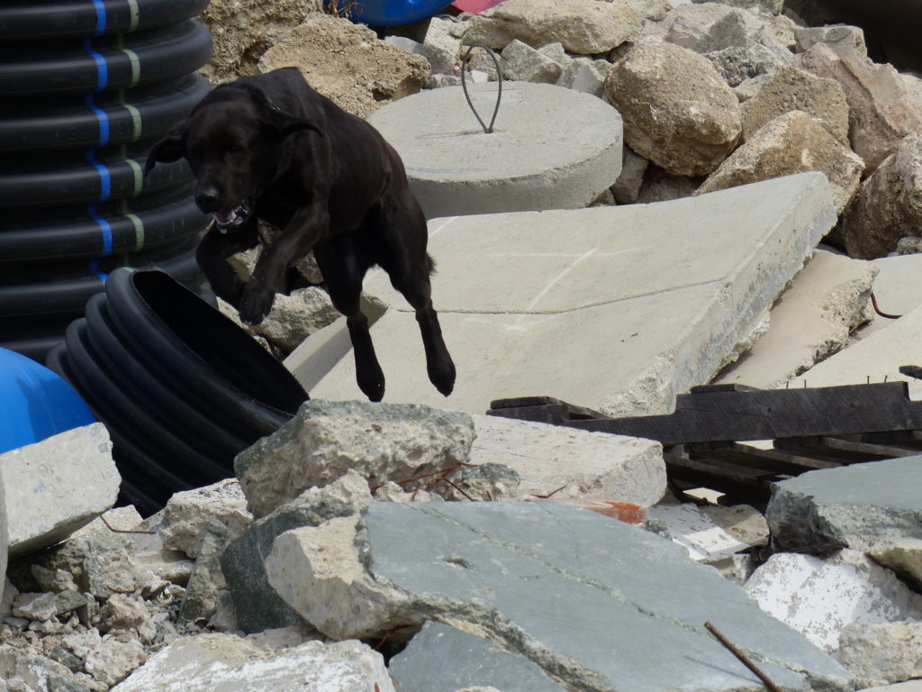 Merlin working the rubble pile