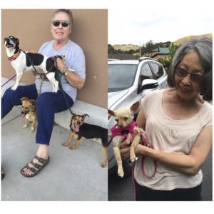 Marnie Hamilton (left) and Mary Fong (right) have volunteered over 7,000 hours to OAS. 