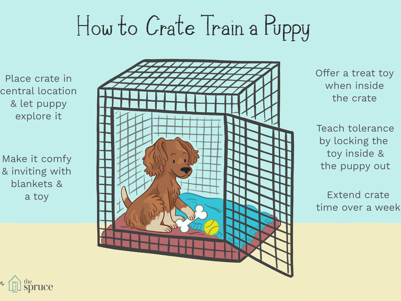 How Long Crate Dog how-long-crate-dog