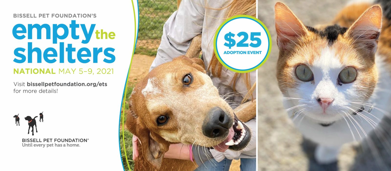 Banbury Animal Rescue and Kindness Service (BARKS)