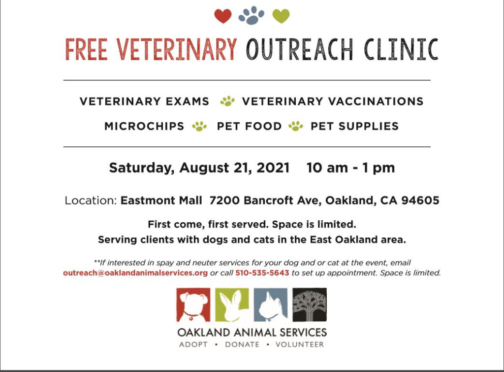 Veterinary clinic flyer