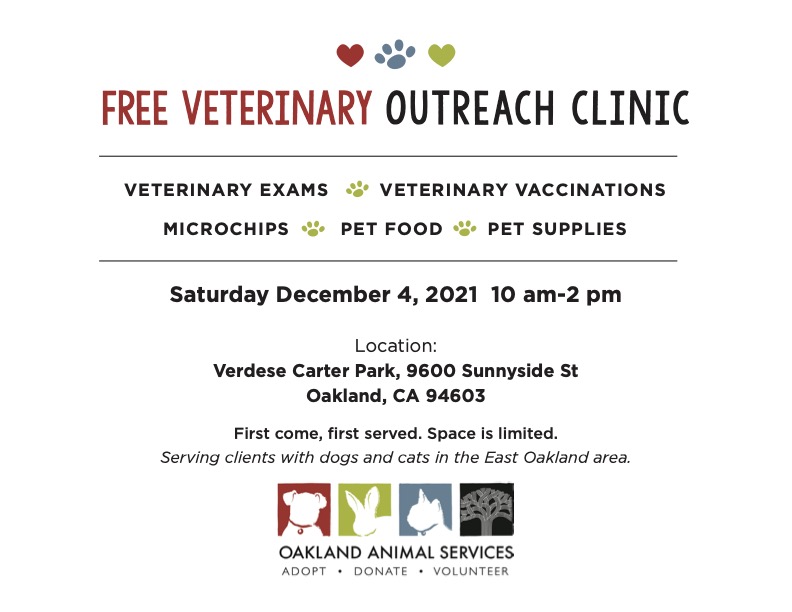 Free veterinary clinic flyer