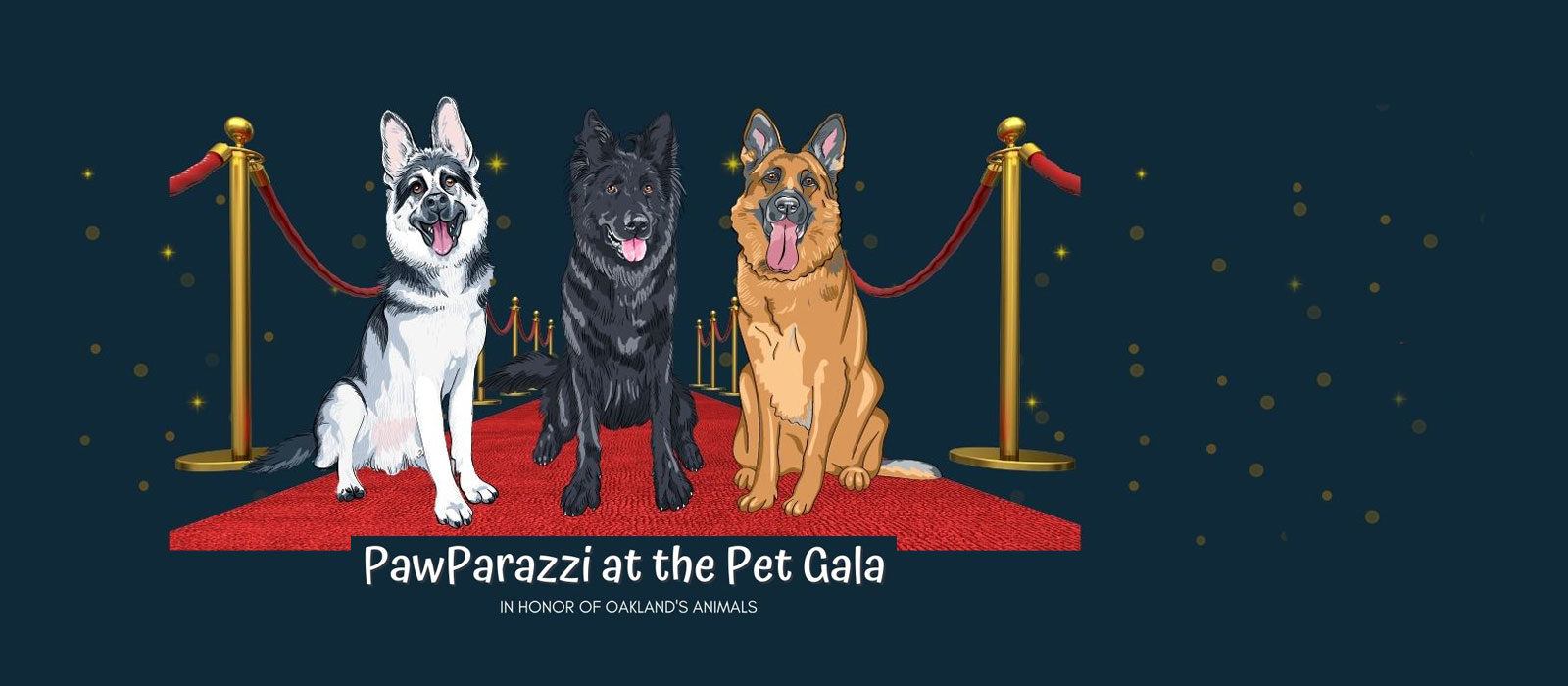 PawParazzi at the Pet Gala, registration now open
